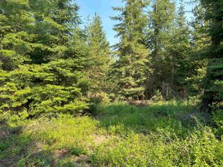 73XX Cottonwood Rd, Wellpinit, WA 99040