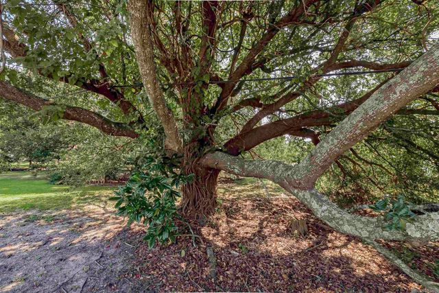 38327 Cornerview Rd, Gonzales, LA 70737