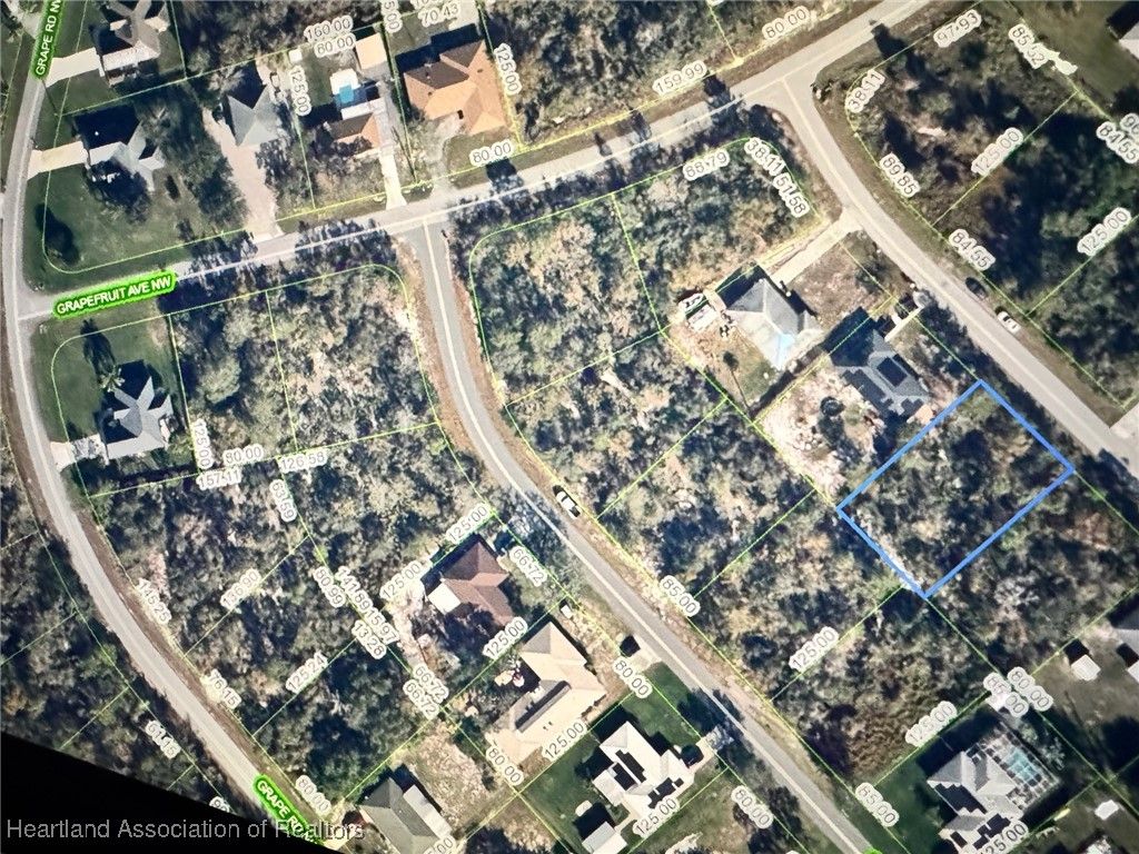 270 Loquat Road NW, Lake Placid, FL 33852