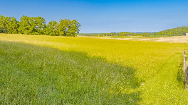 479 Buffalo Trace Road, Monticello, KY 42633