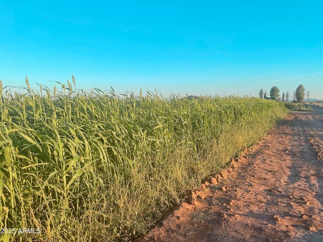 4300 W PRINCE Road, Mcneal, AZ 85617