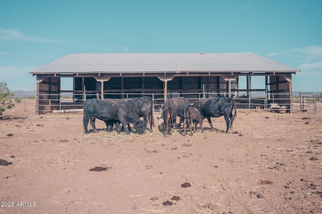 4300 W PRINCE Road, Mcneal, AZ 85617