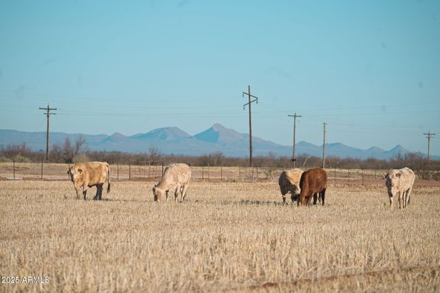 4300 W PRINCE Road, Mcneal, AZ 85617