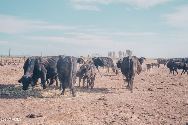 4300 W PRINCE Road, Mcneal, AZ 85617