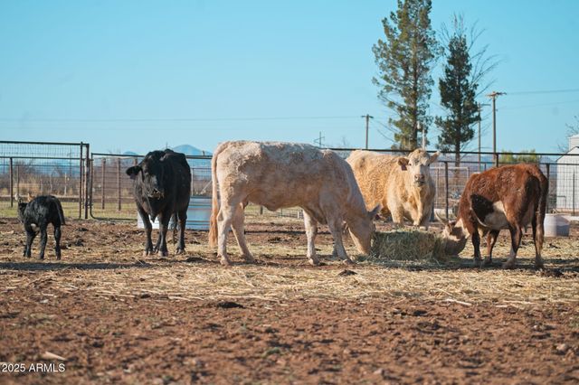 4300 W PRINCE Road, Mcneal, AZ 85617