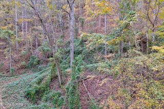 Lots 1 2 3 Timber Grove Rd, Sevierville, TN 37862