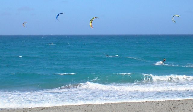 1605 S Us Highway 1 B406, Jupiter, FL 33477