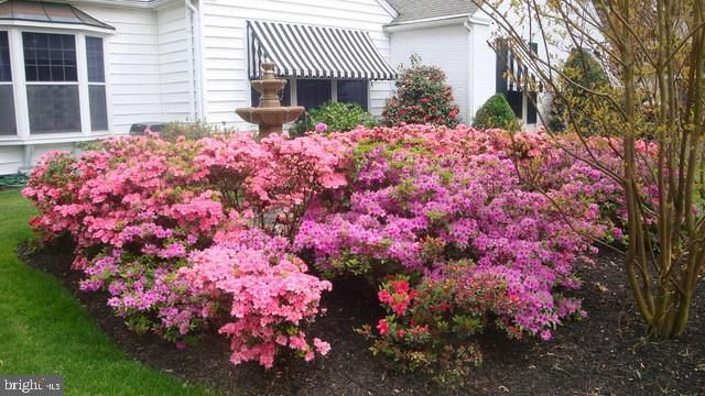 1100 WOODLAND ROAD, Salisbury, MD 21801