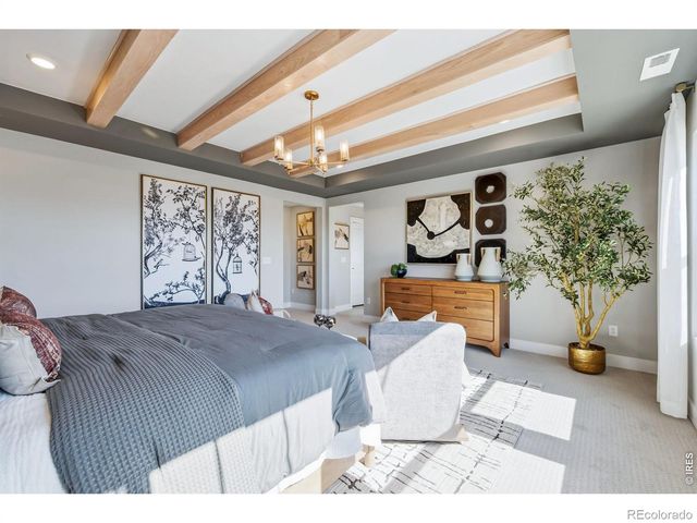 997 Nettle Lane, Fort Collins, CO 80524