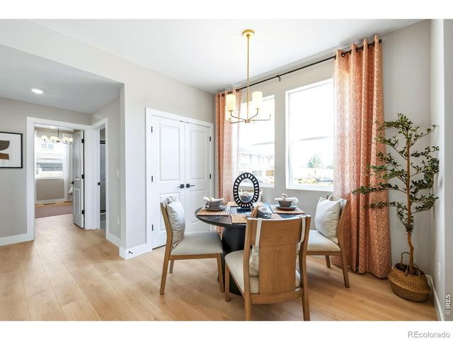 997 Nettle Lane, Fort Collins, CO 80524