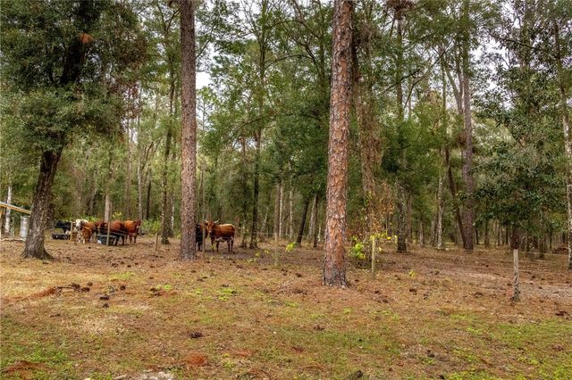 24091 RICHBARN ROAD, Brooksville, FL 34601