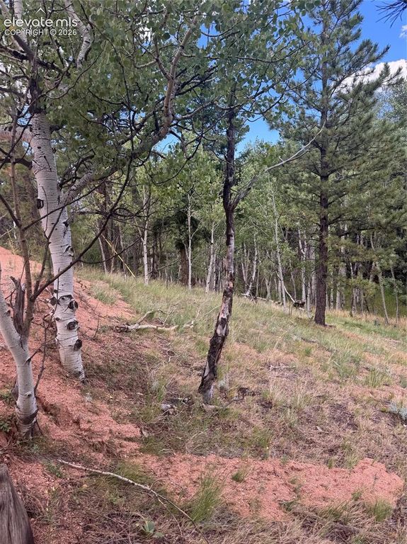 40 Sequoia Trail, Woodland Park, CO 80863 — exterior
