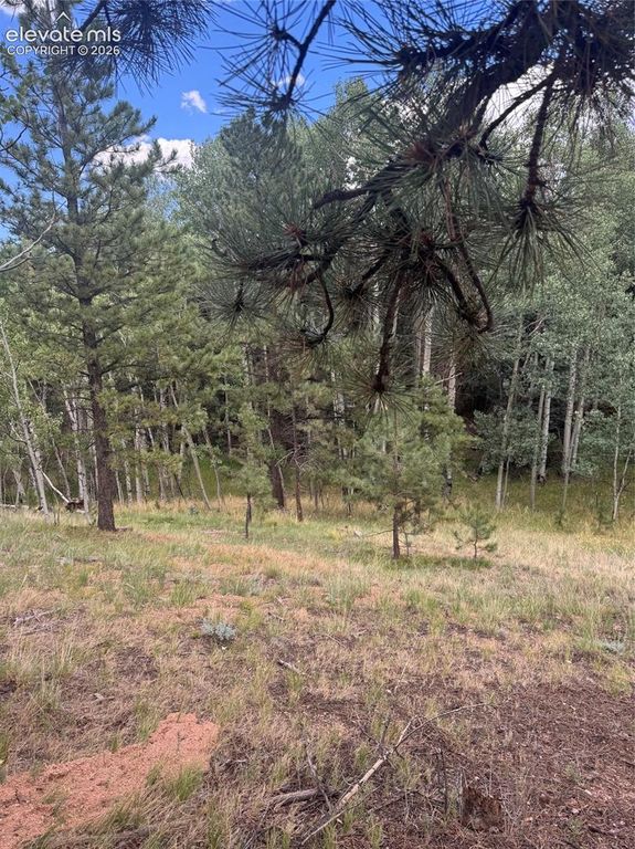 40 Sequoia Trail, Woodland Park, CO 80863 — photo 2