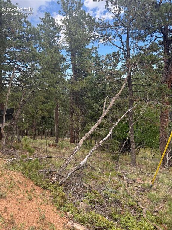 40 Sequoia Trail, Woodland Park, CO 80863 — photo 3