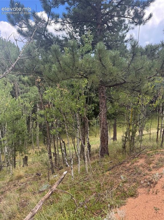 40 Sequoia Trail, Woodland Park, CO 80863 — photo 4