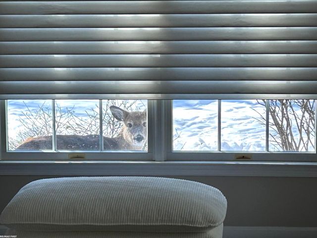 2118 Pine Bluffs Court, Highland Twp, MI 48357