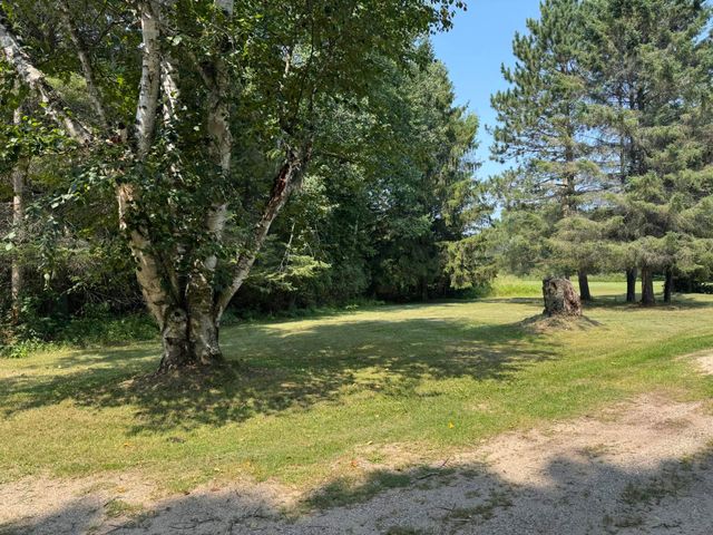 6350 E Cadillac Road, Falmouth, MI 49632