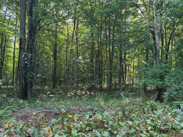 6350 E Cadillac Road, Falmouth, MI 49632