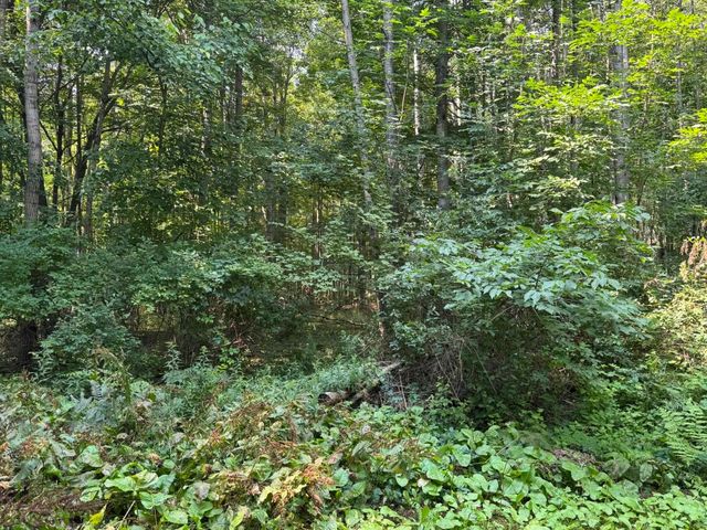 6350 E Cadillac Road, Falmouth, MI 49632