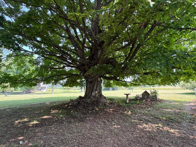 6350 E Cadillac Road, Falmouth, MI 49632