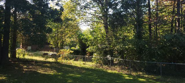 141 General Buckner Dr, Dover, TN 37058