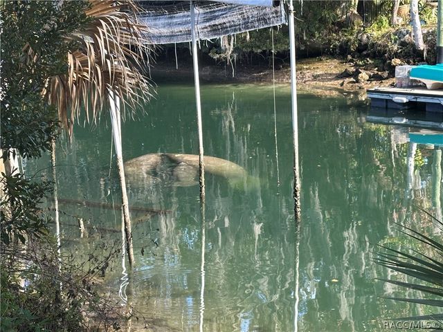 1115 SE Kings Bay Drive, Crystal River, FL 34429