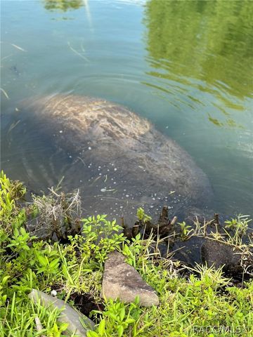 1115 SE Kings Bay Drive, Crystal River, FL 34429