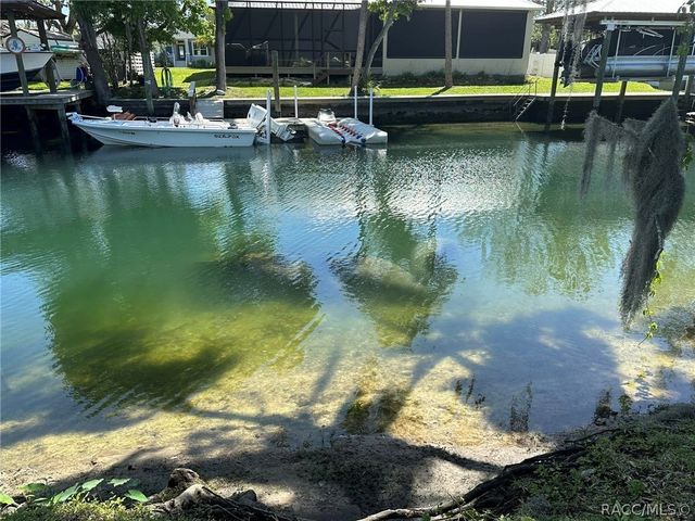 1115 SE Kings Bay Drive, Crystal River, FL 34429