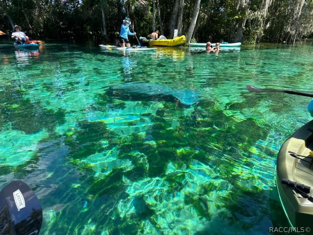 1115 SE Kings Bay Drive, Crystal River, FL 34429