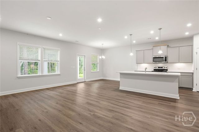 238 Chatham Lane, Richmond Hill, GA 31324