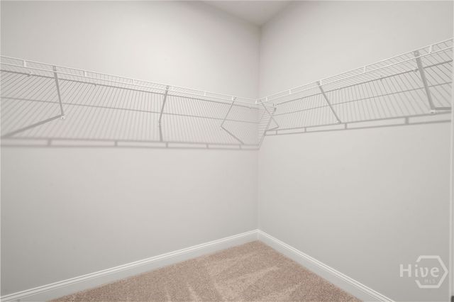 238 Chatham Lane, Richmond Hill, GA 31324