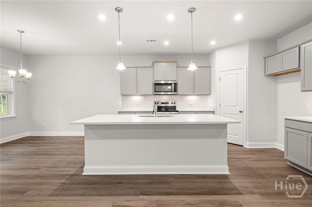 238 Chatham Lane, Richmond Hill, GA 31324
