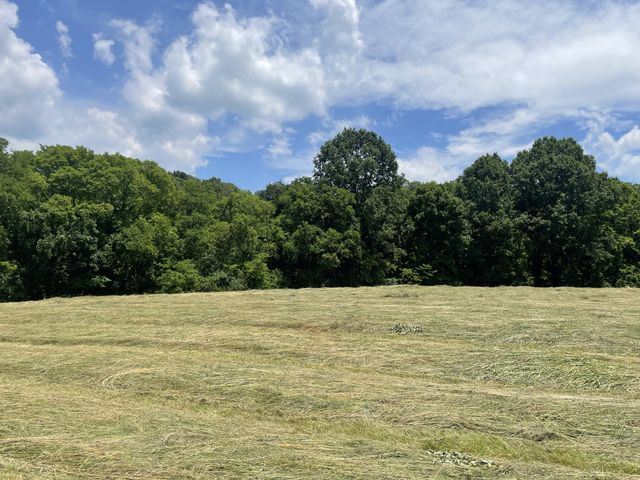 0 Agnew Rd, Pulaski, TN 38478