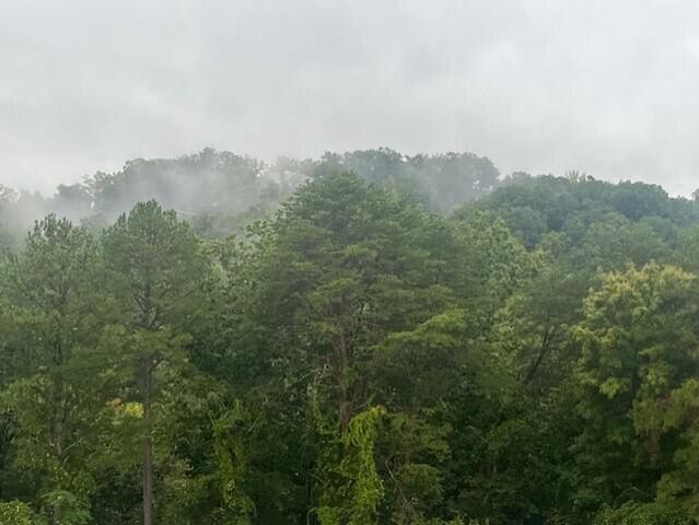 1414 Continental Drive 407+409, Chattanooga, TN 37405