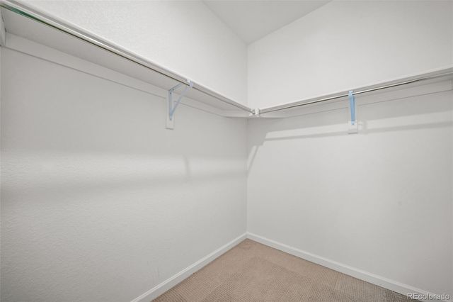 475 Millwall Circle, Castle Pines, CO 80108