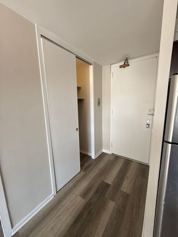 4800 S Chicago Beach Drive 308S, Chicago, IL 60615