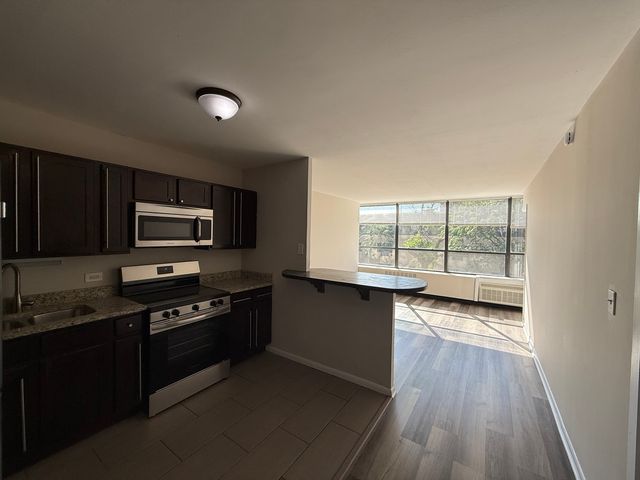 4800 S Chicago Beach Drive 308S, Chicago, IL 60615