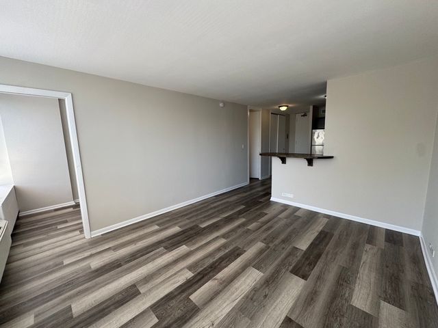 4800 S Chicago Beach Drive 308S, Chicago, IL 60615