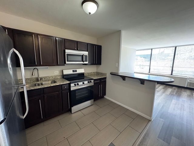 4800 S Chicago Beach Drive 308S, Chicago, IL 60615