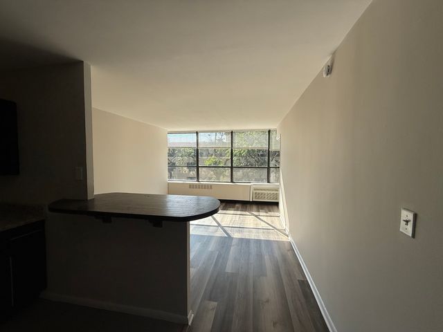 4800 S Chicago Beach Drive 308S, Chicago, IL 60615