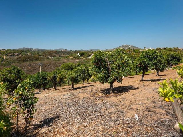 18246 Via Ascenso, Rancho Santa Fe, CA 92091