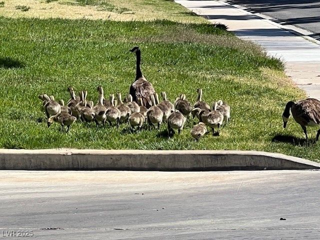 7068 Bright Springs Court, Las Vegas, NV 89113