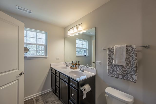 3363 Helene Rieder Drive, Montgomery, IL 60538