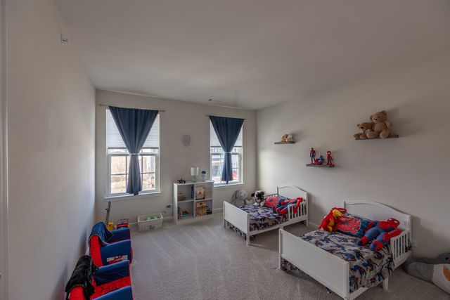 3363 Helene Rieder Drive, Montgomery, IL 60538