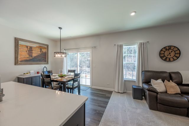 3363 Helene Rieder Drive, Montgomery, IL 60538