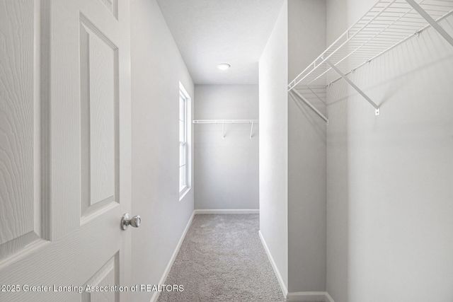 1030 Woodridge Drive, St. Johns, MI 48879