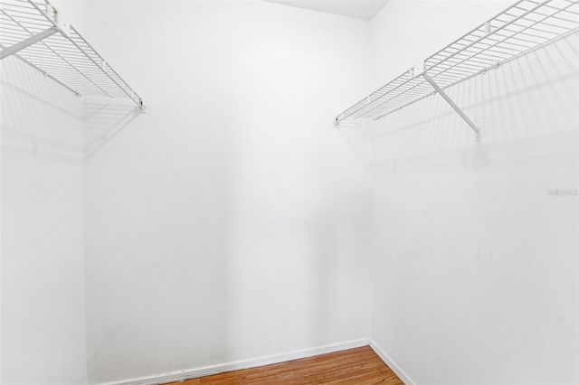 1400 GANDY BOULEVARD N 411, St Petersburg, FL 33702