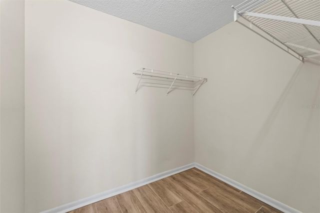 2617 COVE CAY DRIVE 206, Clearwater, FL 33760