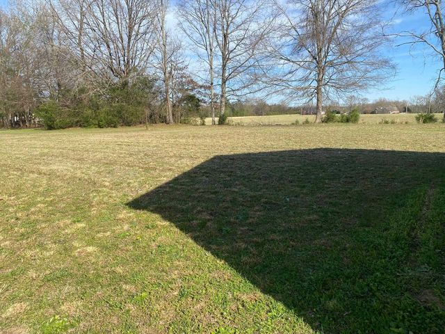 345 PAULINE DR, Adamsville, TN 38310