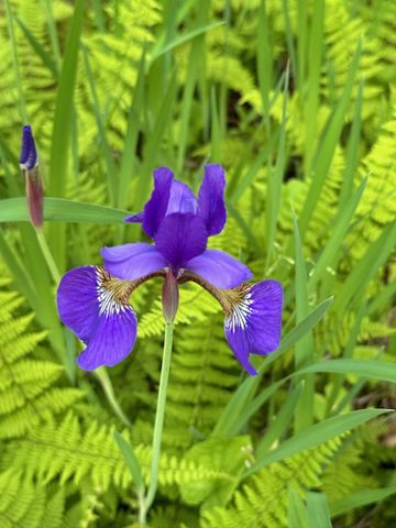 4350 River Road S, Afton, MN 55001